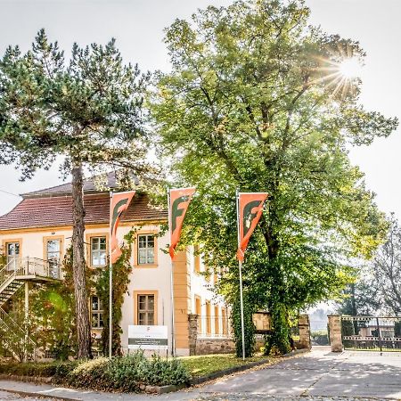 Stadtschloss Hecklingen*** Hecklingen  Eksteriør bilde