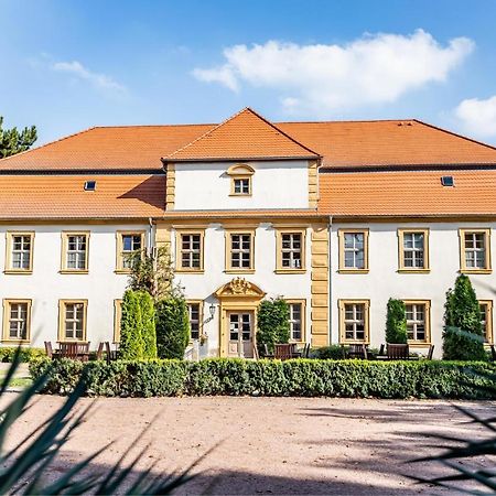 Stadtschloss Hecklingen*** Hecklingen  Eksteriør bilde